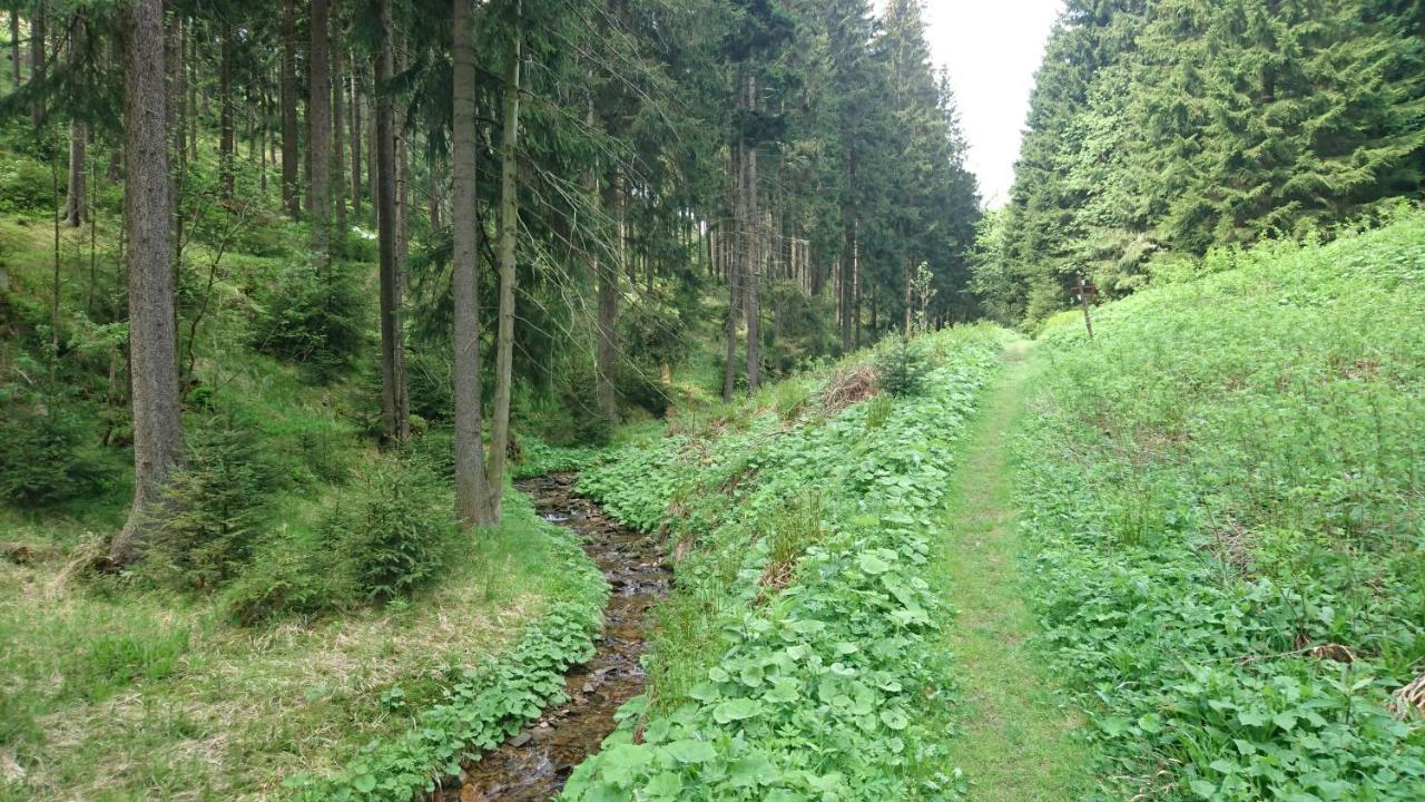 Dachspitze Mit Tiefgaragenstellplatz Und Skiraum *